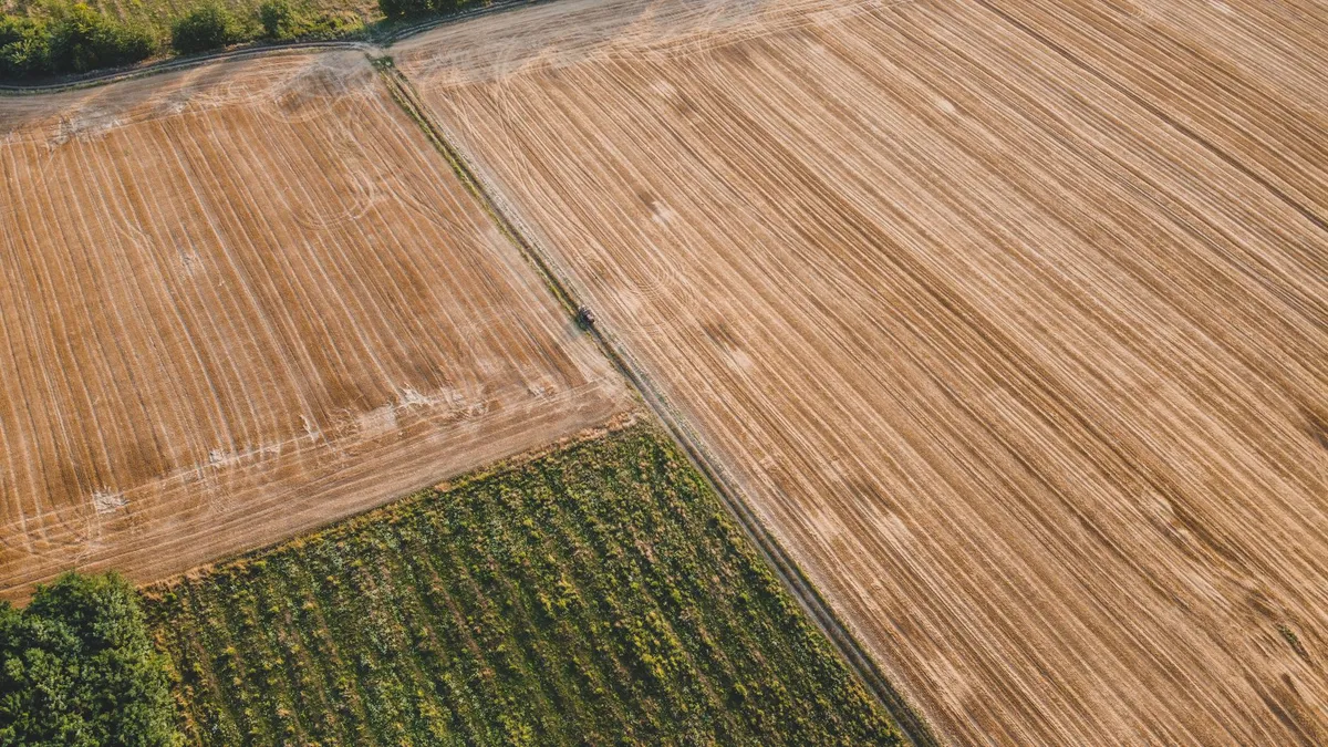 agricultural crops field