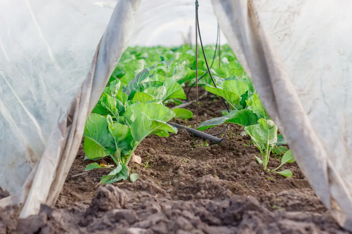 crop protection products