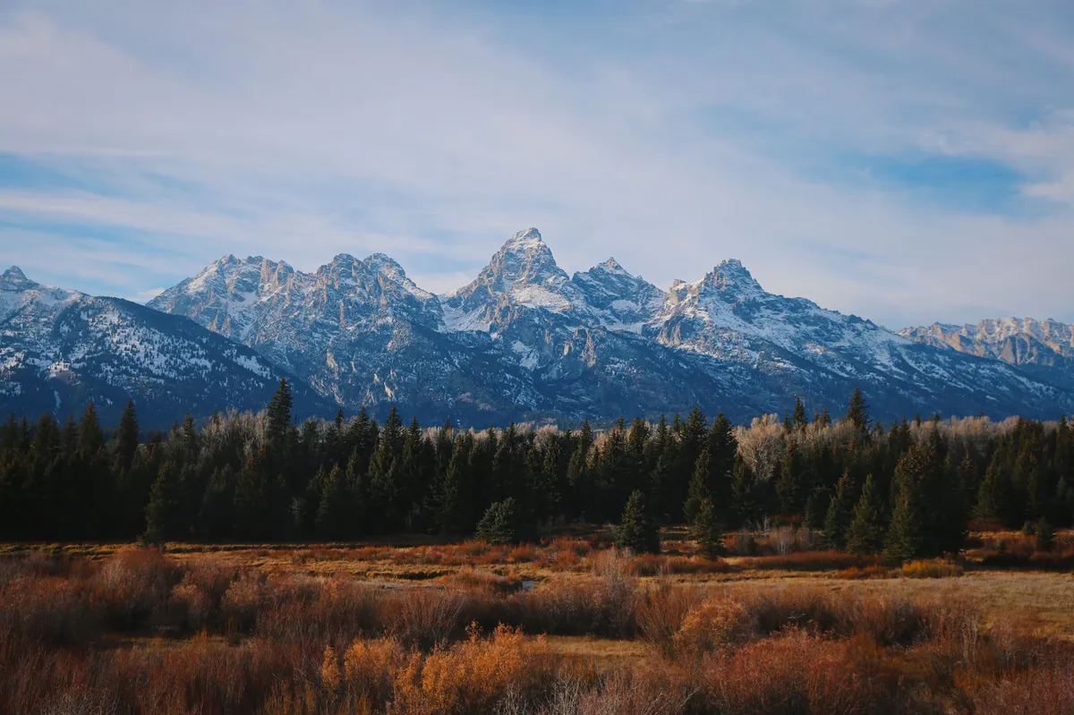 Grand Teton fall landscape