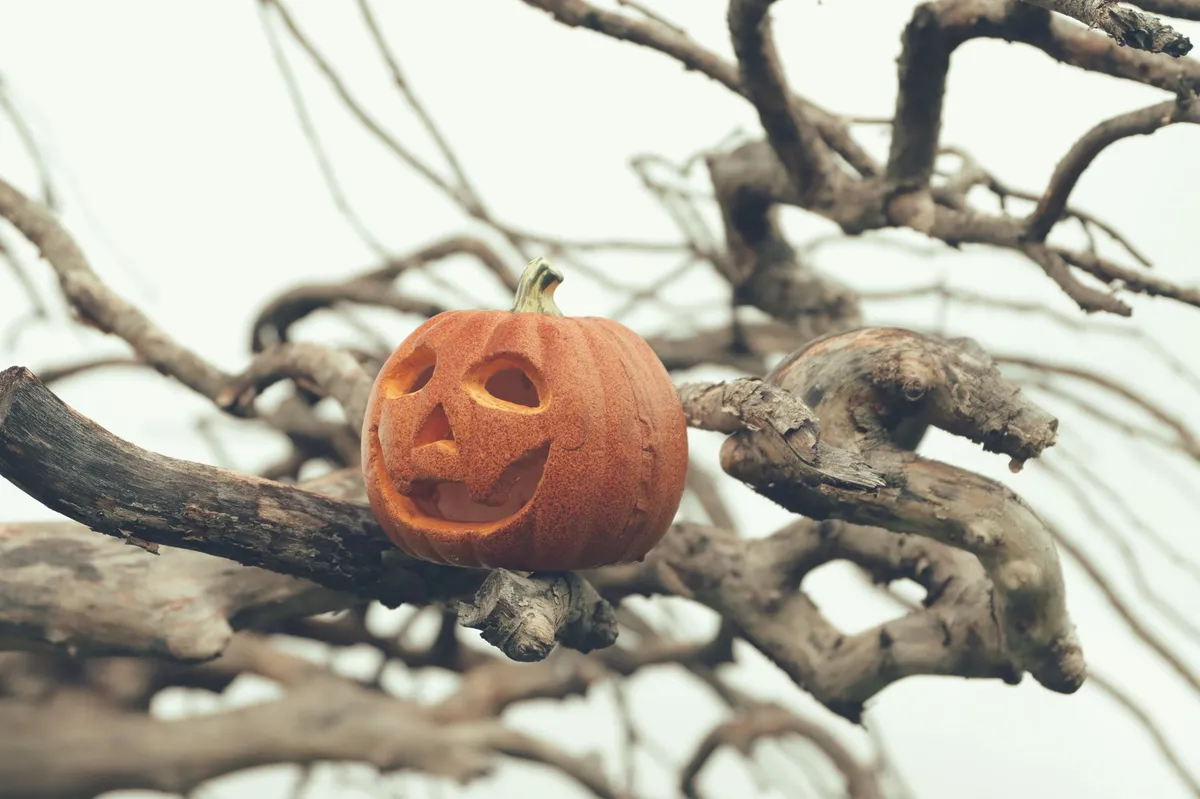 Sleepy Hollow Halloween decorations