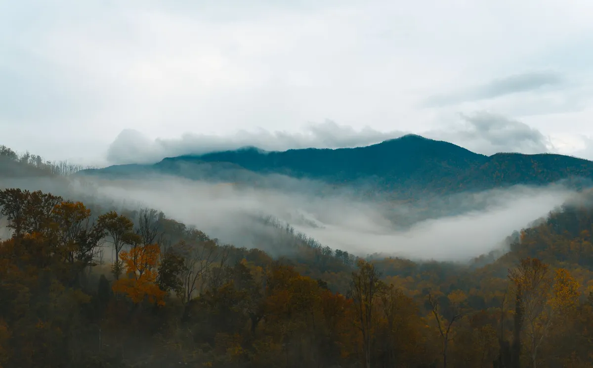 Great Smoky Mountains fall colors