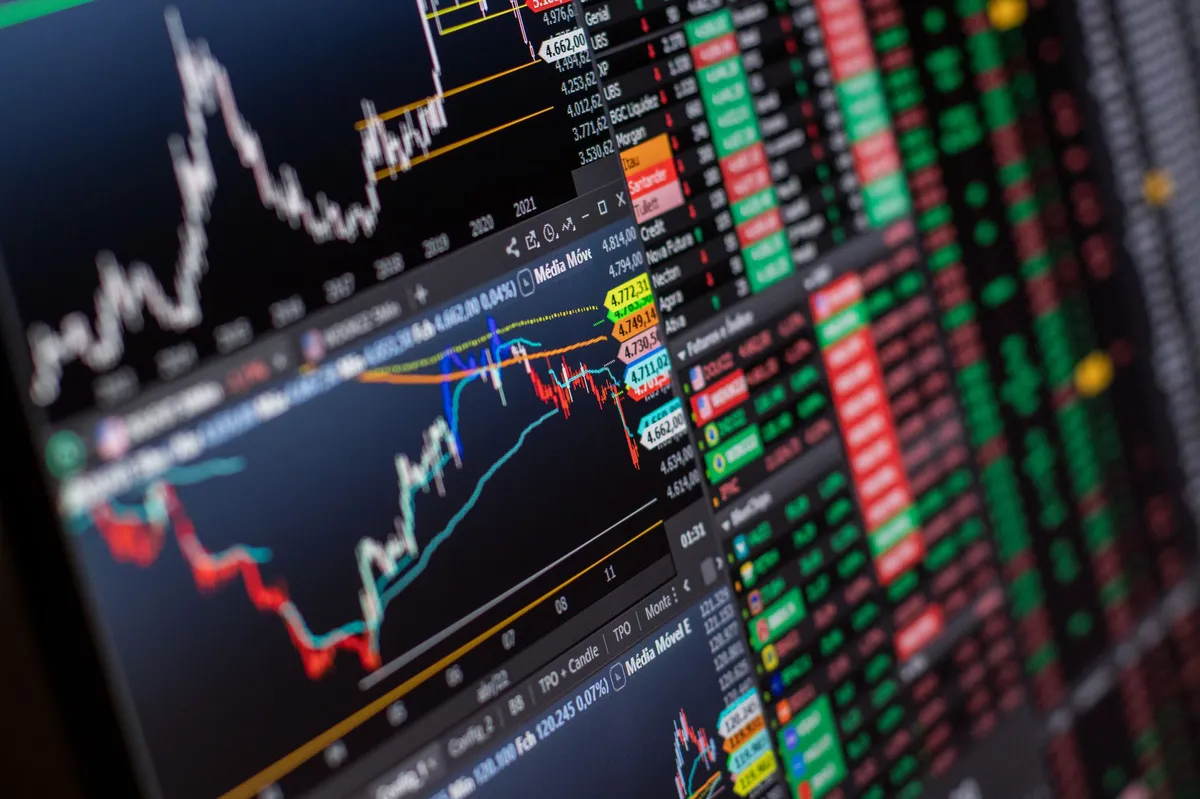 diversified portfolio visualization