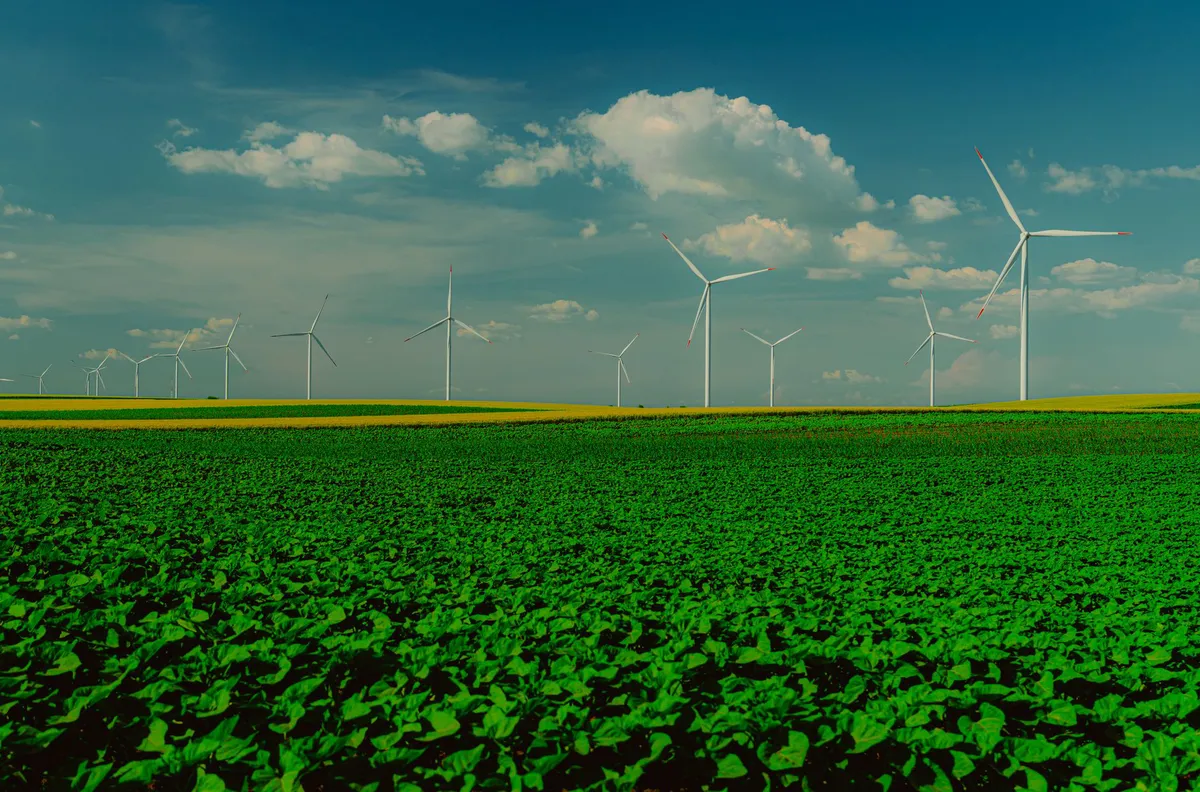 renewable energy wind farm