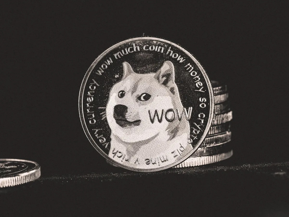 meme coin graphics