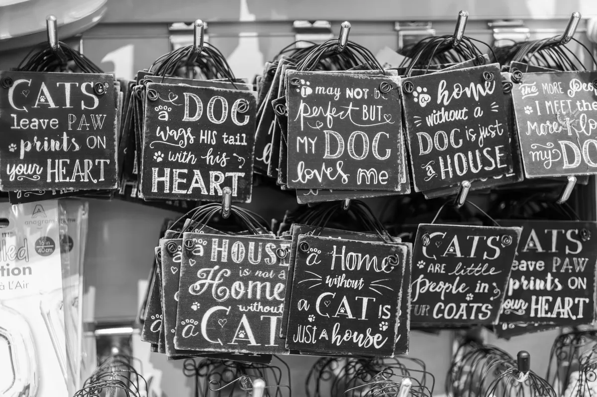 pet store interior