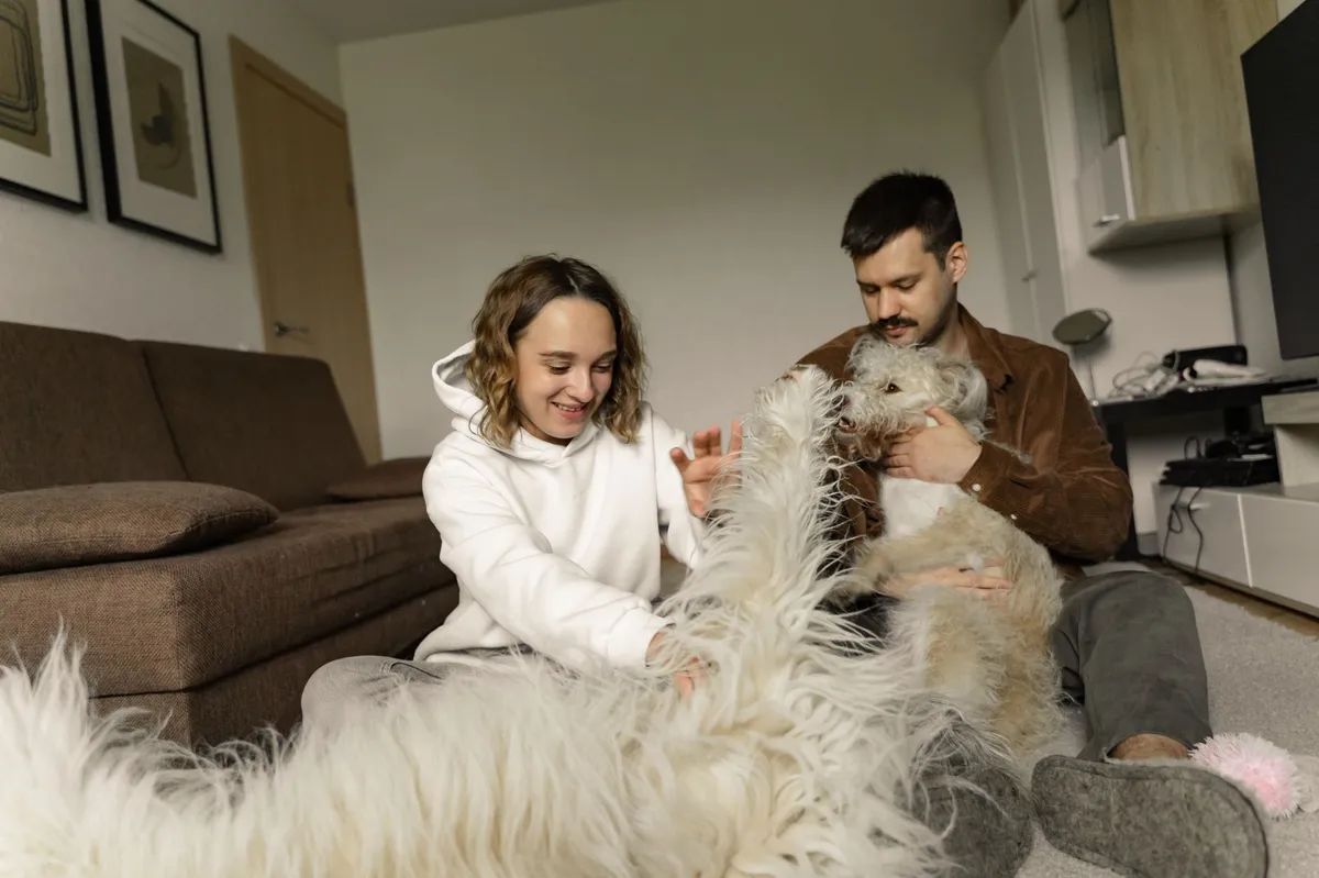 happy pets with owners