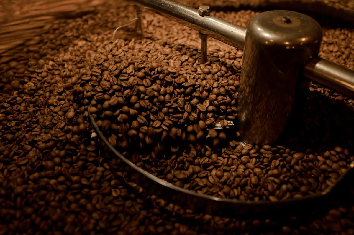 coffee beans production