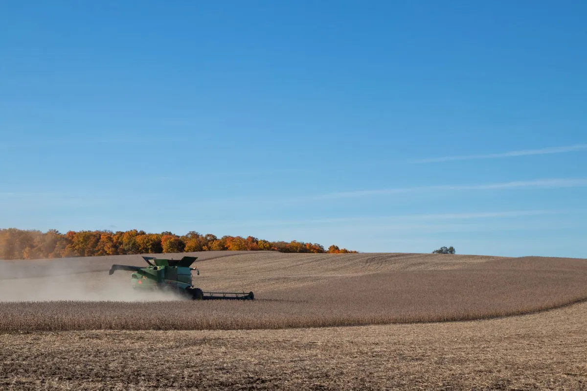 soybean farm landscape