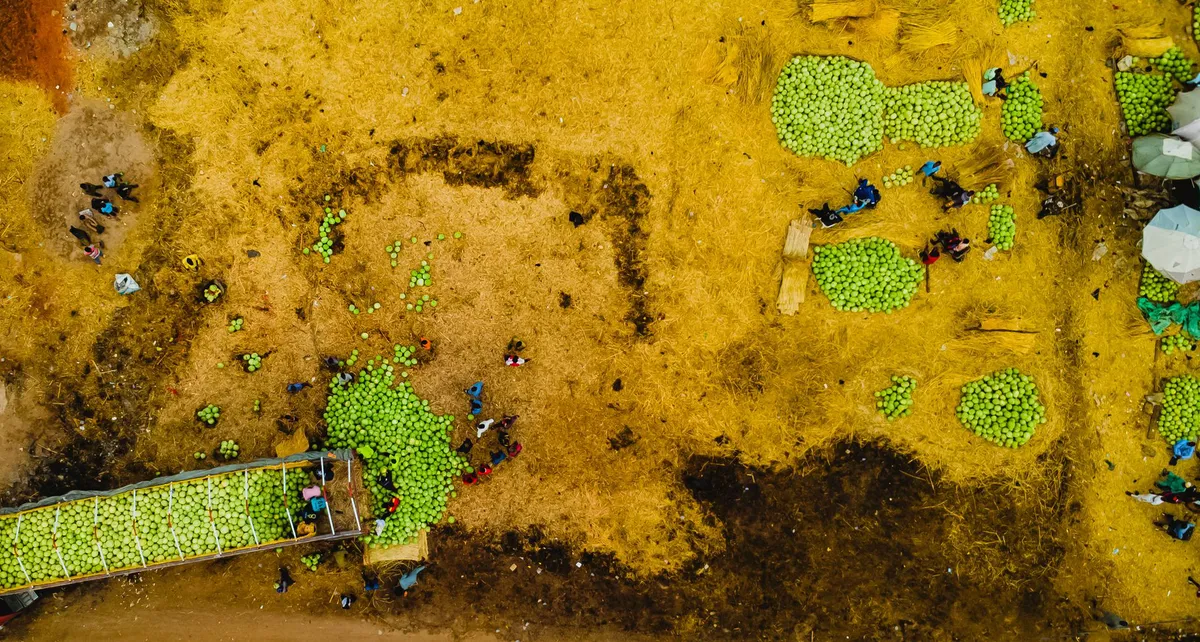 agricultural trade concept