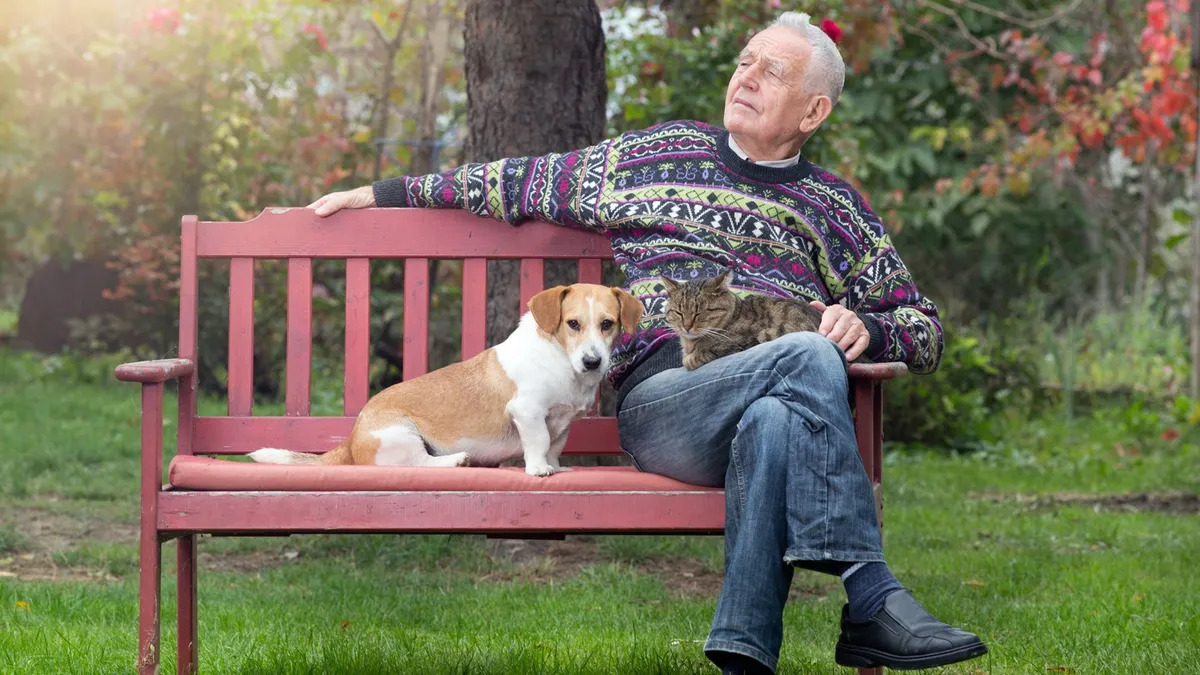 Dog People vs. Cat People: Who Enjoys a Happier Retirement? Dog People vs. Cat People: Who Enjoys a Happier Retirement?