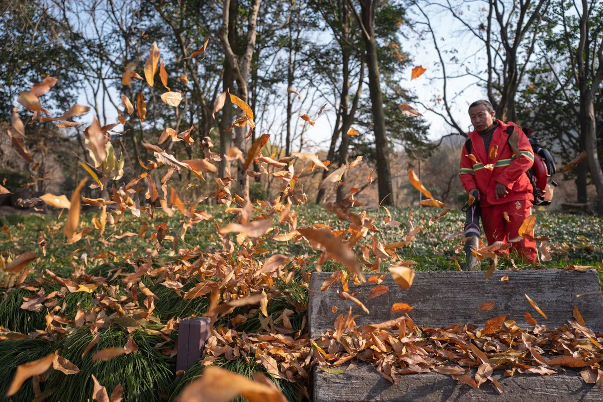 seasonal job at a park