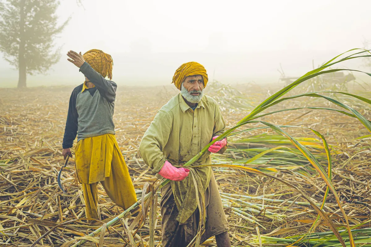 distressed farmer in field
