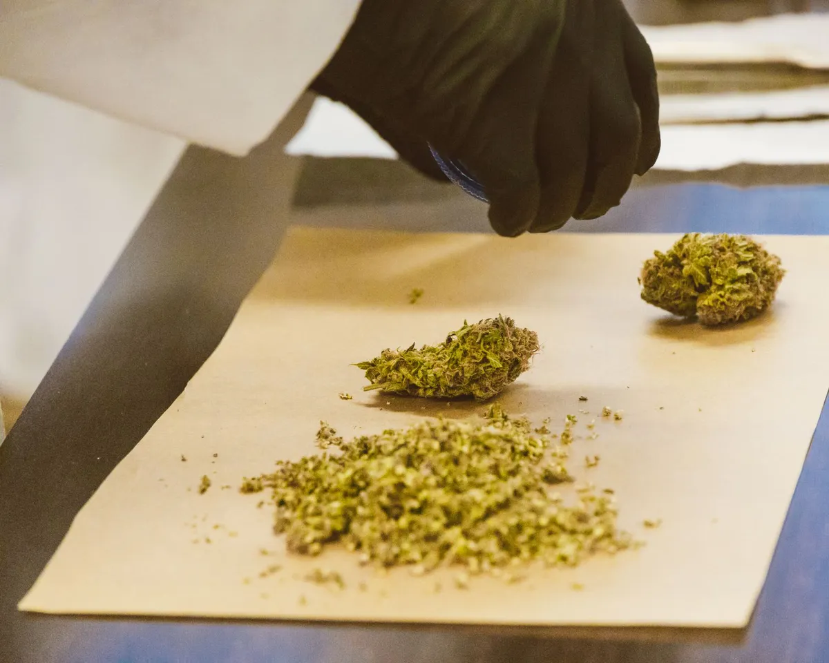 cannabis product processing