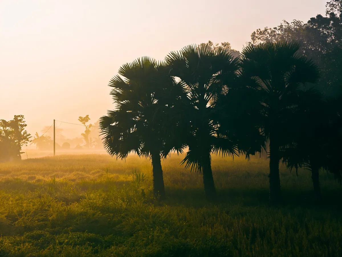 serene nature landscape