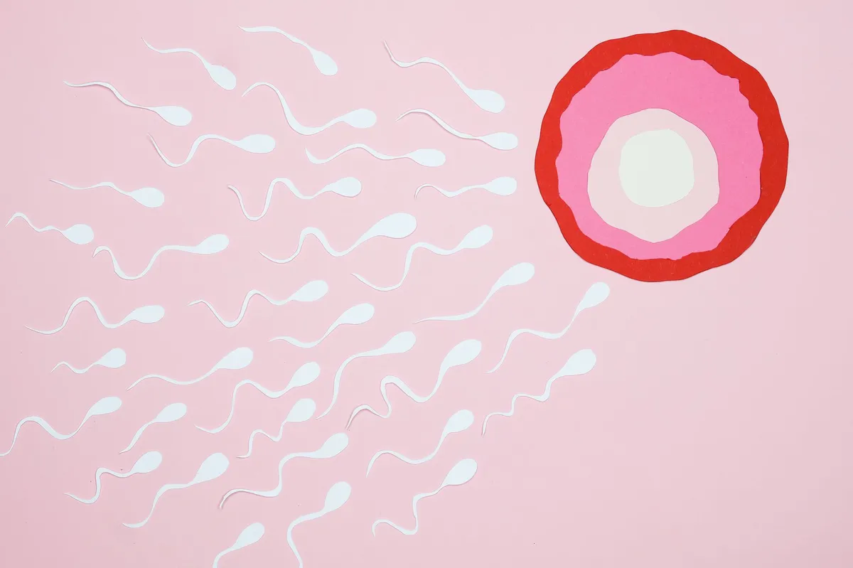 fertility treatment consultation