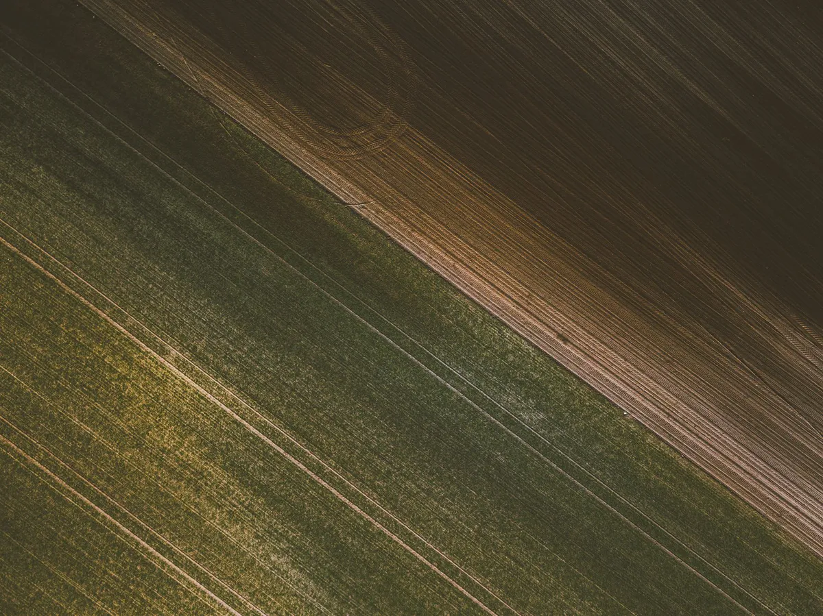agricultural field drone view