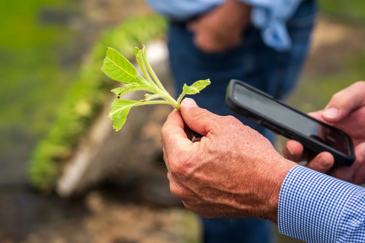 farmer with crops and technology