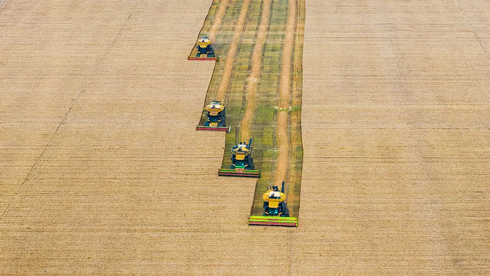 Agricultural Sector: A Bull Market Amid Global Challenges