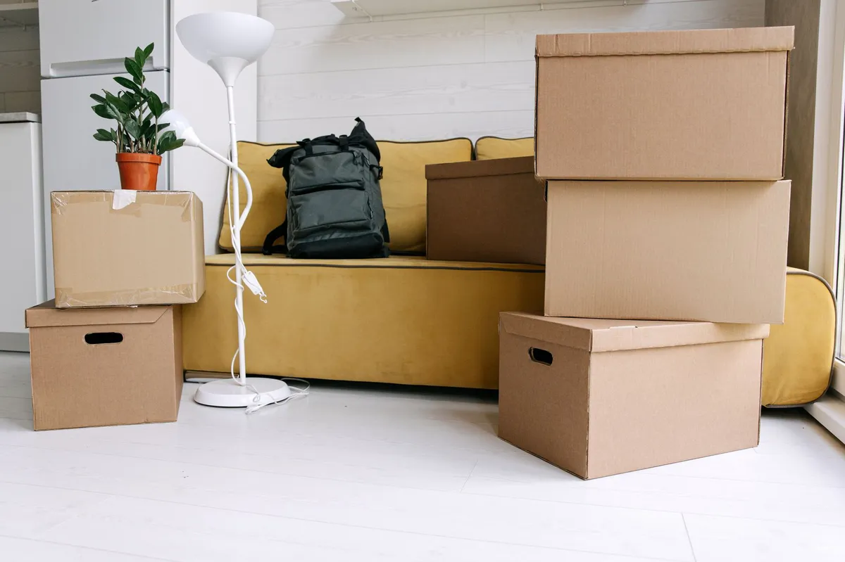 moving boxes in living room