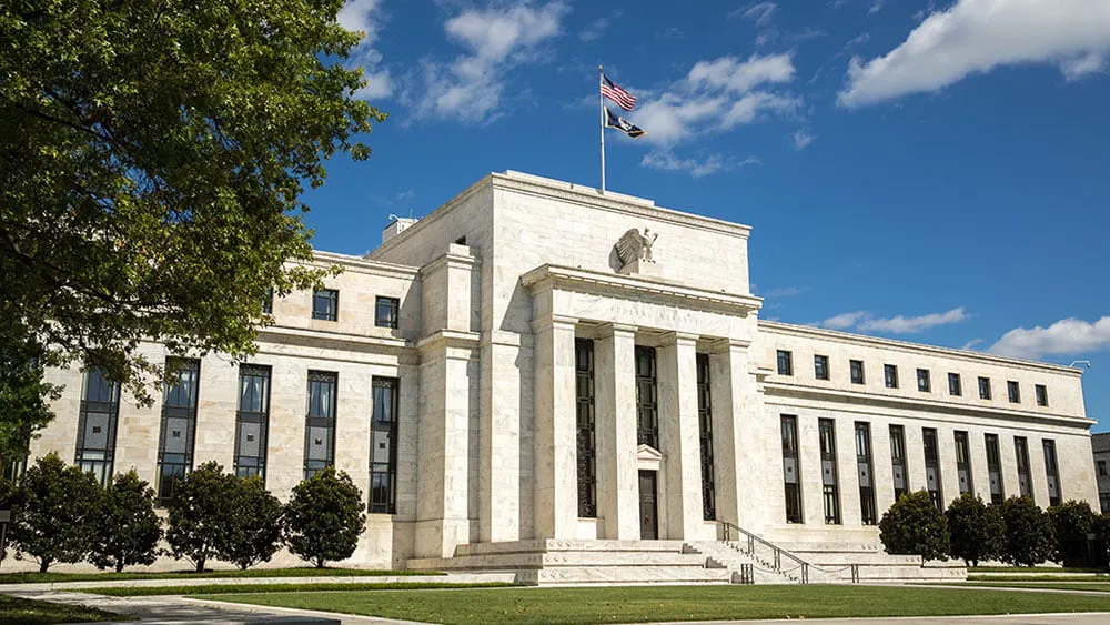 Stock Market Rebounds: Key Movers and Economic Insights