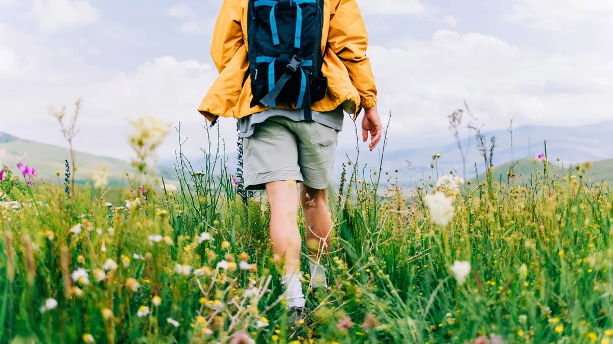 Understanding Financial Independence: The Key to Smart Retirement Planning
