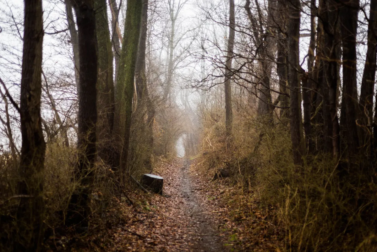 hiking trail Delaware